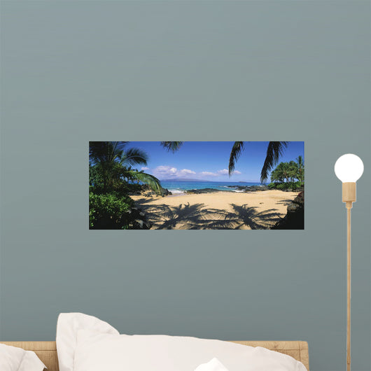 Hawaii, Maui, Makena Wall Mural