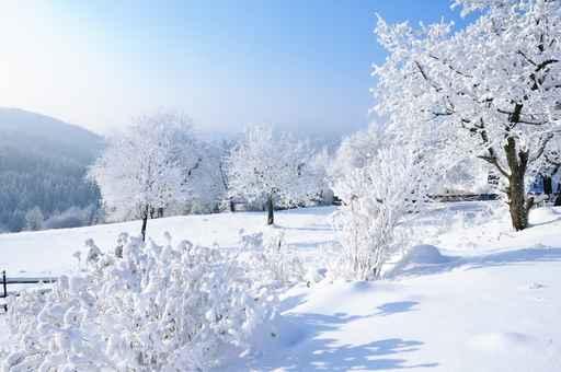 Winter Landscape Austria Wall Decal