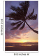 Hawaii, Maui, Kihei, Palm Tree Over The Beach At Sunset Wall Mural