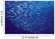 Hawaii, Mackerel Scad, Opelu Swims In Large School Wall Mural