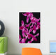 Black Background Wall Mural