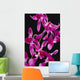 Black Background Wall Mural