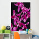 Black Background Wall Mural