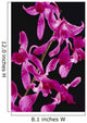 Black Background Wall Mural