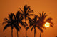 Hawaii, Sunset, Cluster Of Palm Trees, Sun Ball Wall Mural