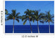Hawaii, Palm Tree Tops Against Blue Sky And Ocean Wall Mural