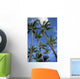 Hawaii, Palm Trees Against Blue Sky And Clouds Wall Mural