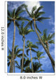 Hawaii, Palm Trees Against Blue Sky And Clouds Wall Mural