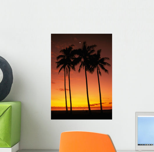 Orange Sky Wall Mural