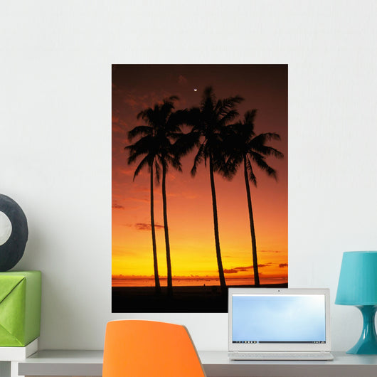 Orange Sky Wall Mural