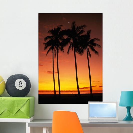 Orange Sky Wall Mural