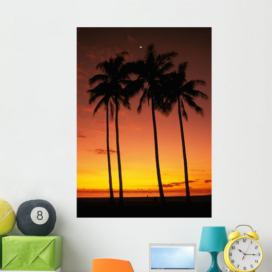 Orange Sky Wall Mural