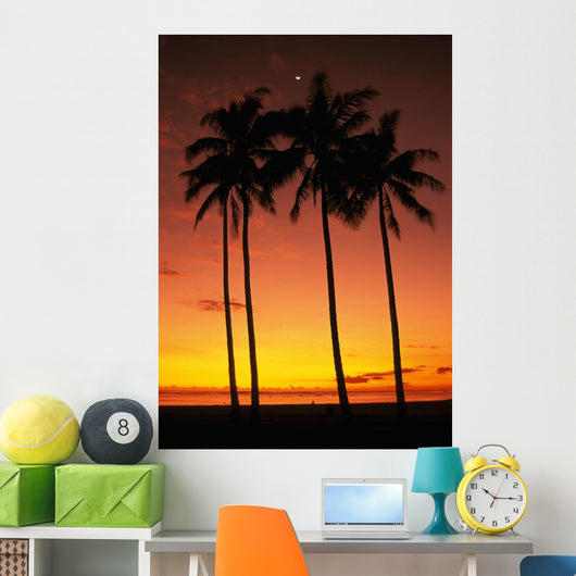Orange Sky Wall Mural