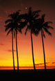 Orange Sky Wall Mural