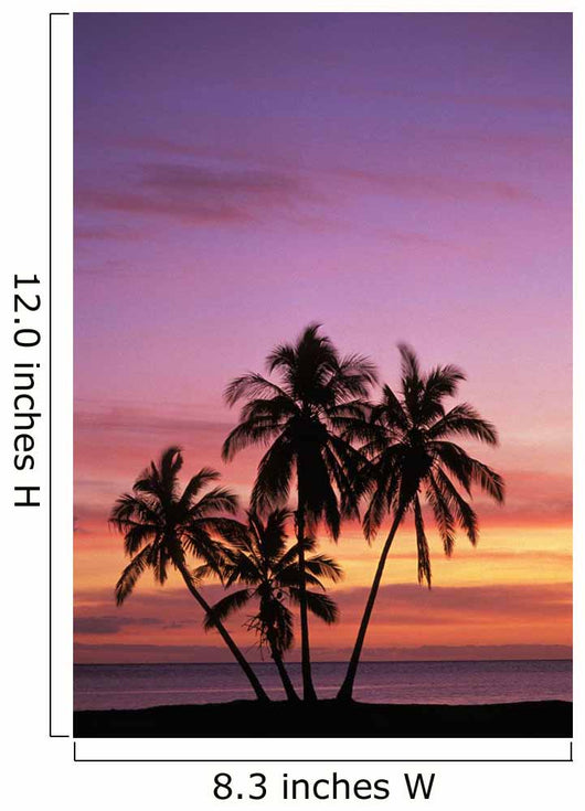 Cluster Of Palm Trees With Beautiful Sunset Background Wall Mural