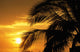 Palm Trees Silhouette With Sunset, Orange Sky And Clouds In Background Wall Mural