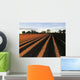 Ploughed Field Wall Decal