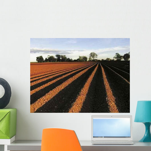 Ploughed Field Wall Decal
