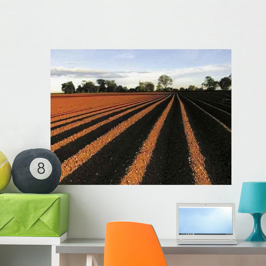 Ploughed Field Wall Decal