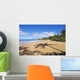 Hawaii, Maui, Makena, Chang's Beach, Shadow Of Palm Tree On Sand Wall Mural