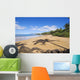 Hawaii, Maui, Makena, Chang's Beach, Shadow Of Palm Tree On Sand Wall Mural
