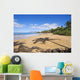 Hawaii, Maui, Makena, Chang's Beach, Shadow Of Palm Tree On Sand Wall Mural