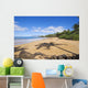 Hawaii, Maui, Makena, Chang's Beach, Shadow Of Palm Tree On Sand Wall Mural