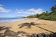 Hawaii, Maui, Makena, Chang's Beach, Shadow Of Palm Tree On Sand Wall Mural
