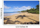 Hawaii, Maui, Makena, Chang's Beach, Shadow Of Palm Tree On Sand Wall Mural