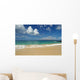Hawaii, Maui, Makena State Park, Oneloa Wall Mural