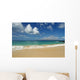 Hawaii, Maui, Makena State Park, Oneloa Wall Mural