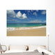 Hawaii, Maui, Makena State Park, Oneloa Wall Mural