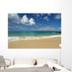 Hawaii, Maui, Makena State Park, Oneloa Wall Mural