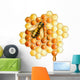 Bee and Honey Wall Decal