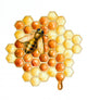 Bee and Honey Wall Decal