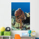 Hawaii, Octopus Cyanea Diguising Itself As A Part Of The Coral Reef Wall Mural