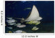Hawaii, Spotted Eagle Ray And Reef Fish Wall Mural