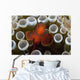 Indonesia, Male Spine-Cheek Clownfish Within Sea Anemone Wall Mural