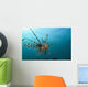 Indonesia, Lionfish Floating Peacefully Above The Reef Wall Mural