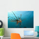 Indonesia, Lionfish Floating Peacefully Above The Reef Wall Mural