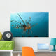 Indonesia, Lionfish Floating Peacefully Above The Reef Wall Mural
