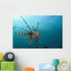 Indonesia, Lionfish Floating Peacefully Above The Reef Wall Mural