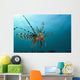 Indonesia, Lionfish Floating Peacefully Above The Reef Wall Mural