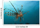Indonesia, Lionfish Floating Peacefully Above The Reef Wall Mural