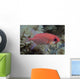 Close-Up Side View Of A Pale Soldierfish With A Large Parasitic Isopod Wall Mural