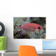 Close-Up Side View Of A Pale Soldierfish With A Large Parasitic Isopod Wall Mural