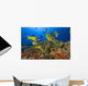 Hawaii, School Of Bluestripe Snappers Among Coral Reef Wall Mural