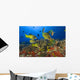 Hawaii, School Of Bluestripe Snappers Among Coral Reef Wall Mural