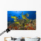Hawaii, School Of Bluestripe Snappers Among Coral Reef Wall Mural