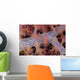 Translucent Flesh Of This Alcyonarian Coral Wall Mural